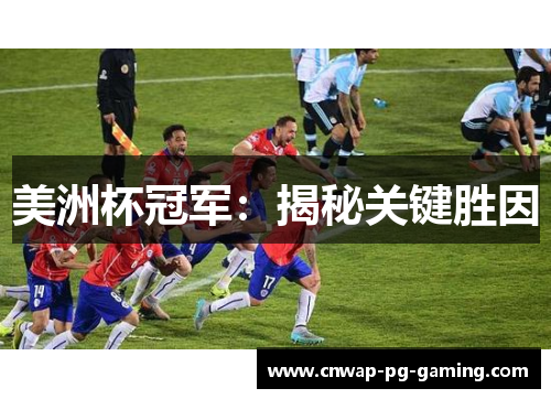 美洲杯冠军：揭秘关键胜因