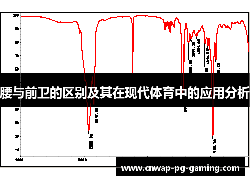 腰与前卫的区别及其在现代体育中的应用分析