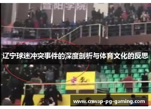 辽宁球迷冲突事件的深度剖析与体育文化的反思 辽宁球迷冲突事件的深度剖析与体育文化的反思