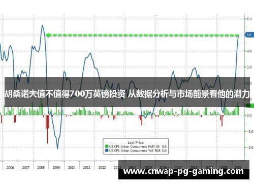 胡桑诺夫值不值得700万英镑投资 从数据分析与市场前景看他的潜力
