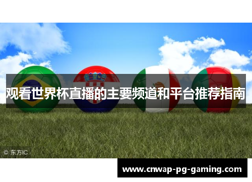 观看世界杯直播的主要频道和平台推荐指南