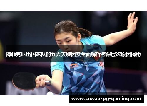 陶菲克退出国家队的五大关键因素全面解析与深层次原因揭秘