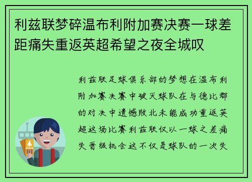 利兹联梦碎温布利附加赛决赛一球差距痛失重返英超希望之夜全城叹